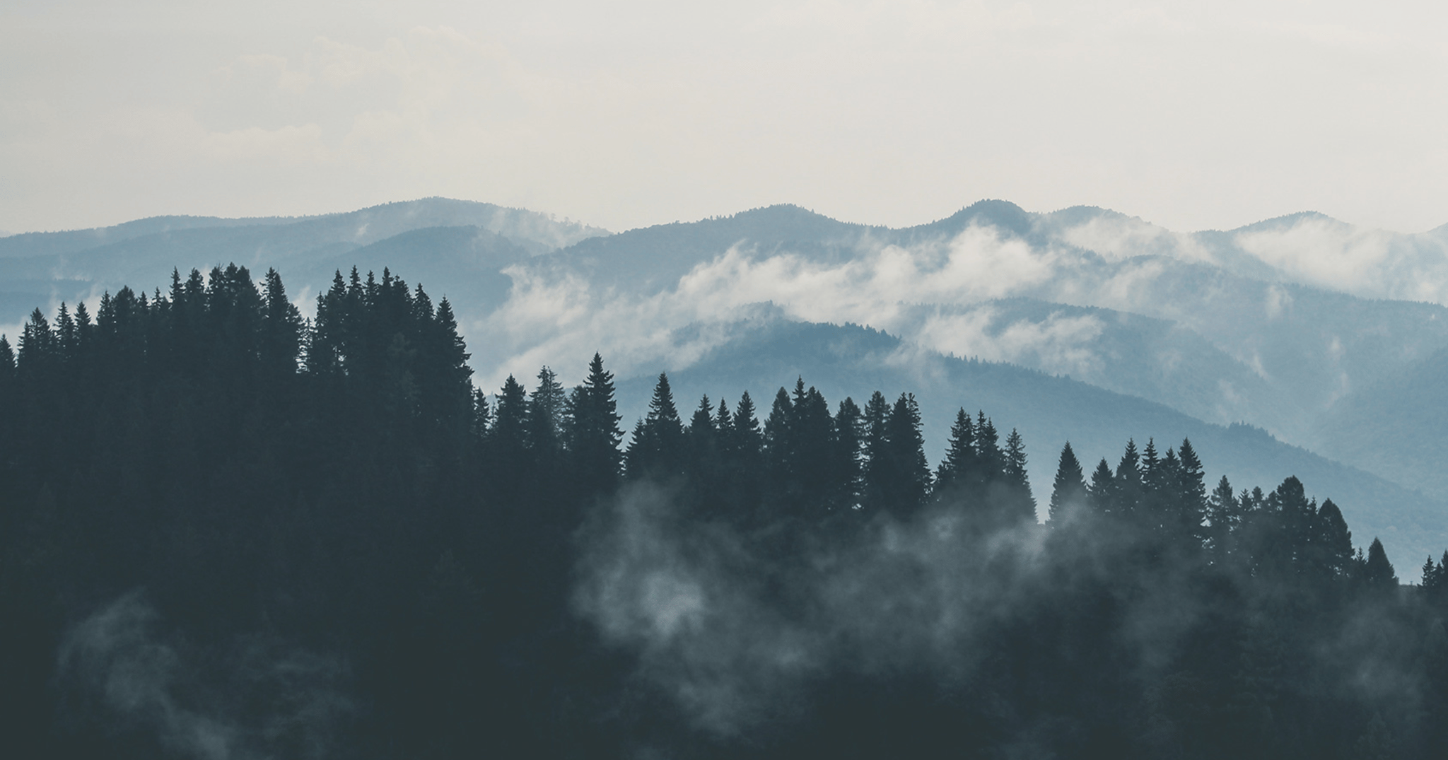 Hållbarhet Båstadgruppen