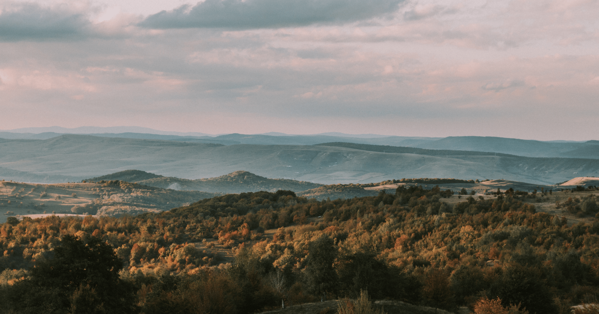 Båstadgruppen | Historia