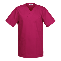 Fuchsia (619) Fuchsia