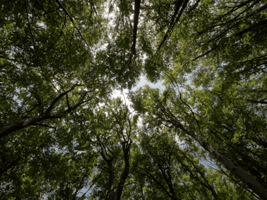 Hållbarhet | Båstadgruppen