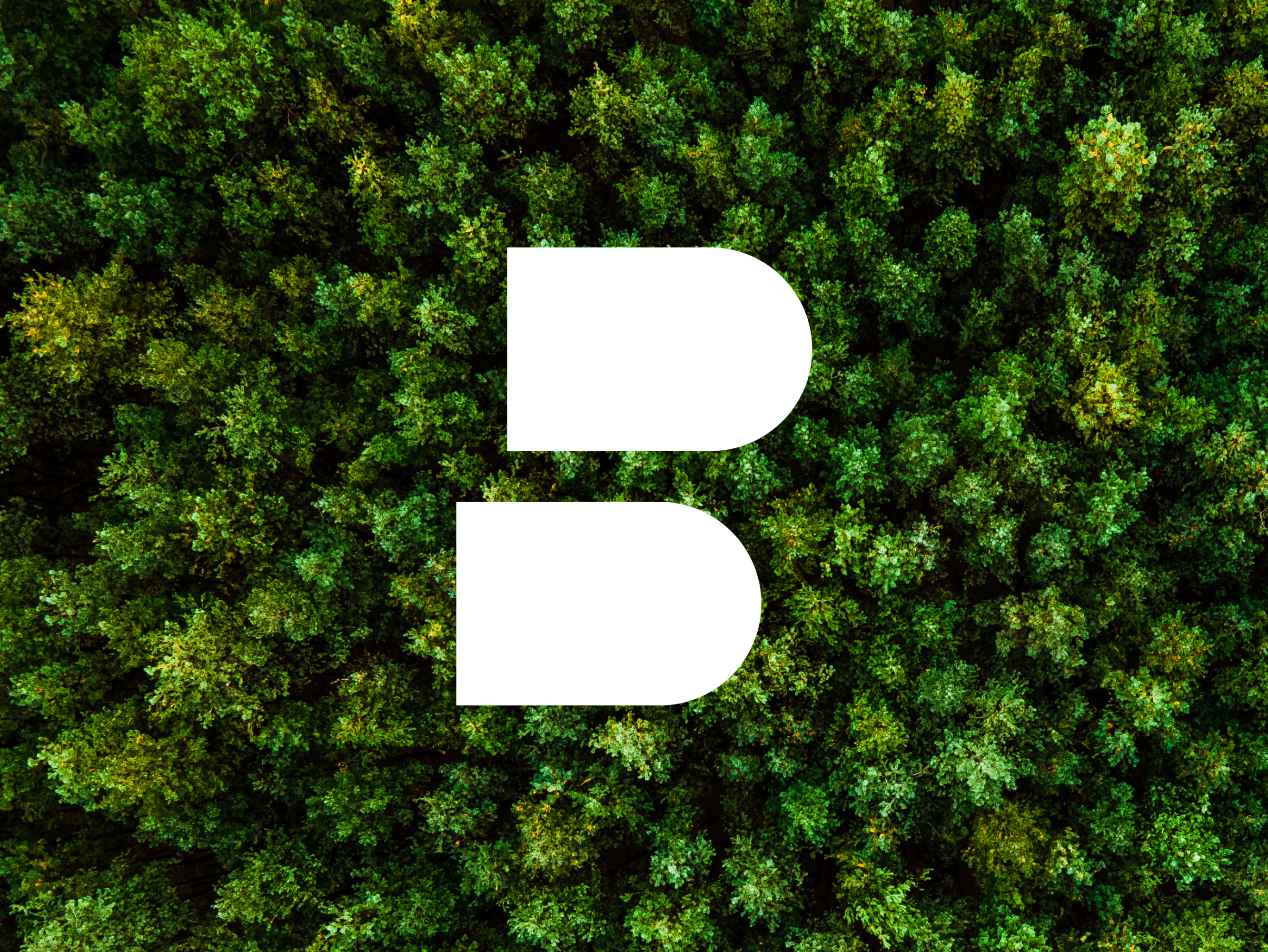 Båstadgruppen hållbarhetsagenda